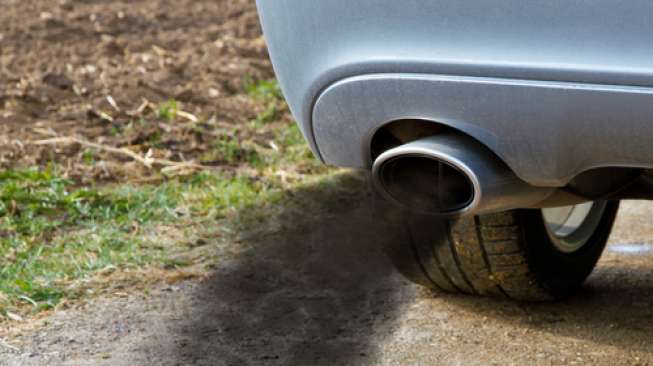 Mengenal Lebih Dekat Modifikasi Kontroversial Mesin Diesel: Apa Itu Cumi Darat?