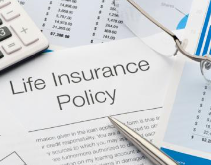 Mengenal Polis Asuransi dan Pentingnya Memahami Isinya